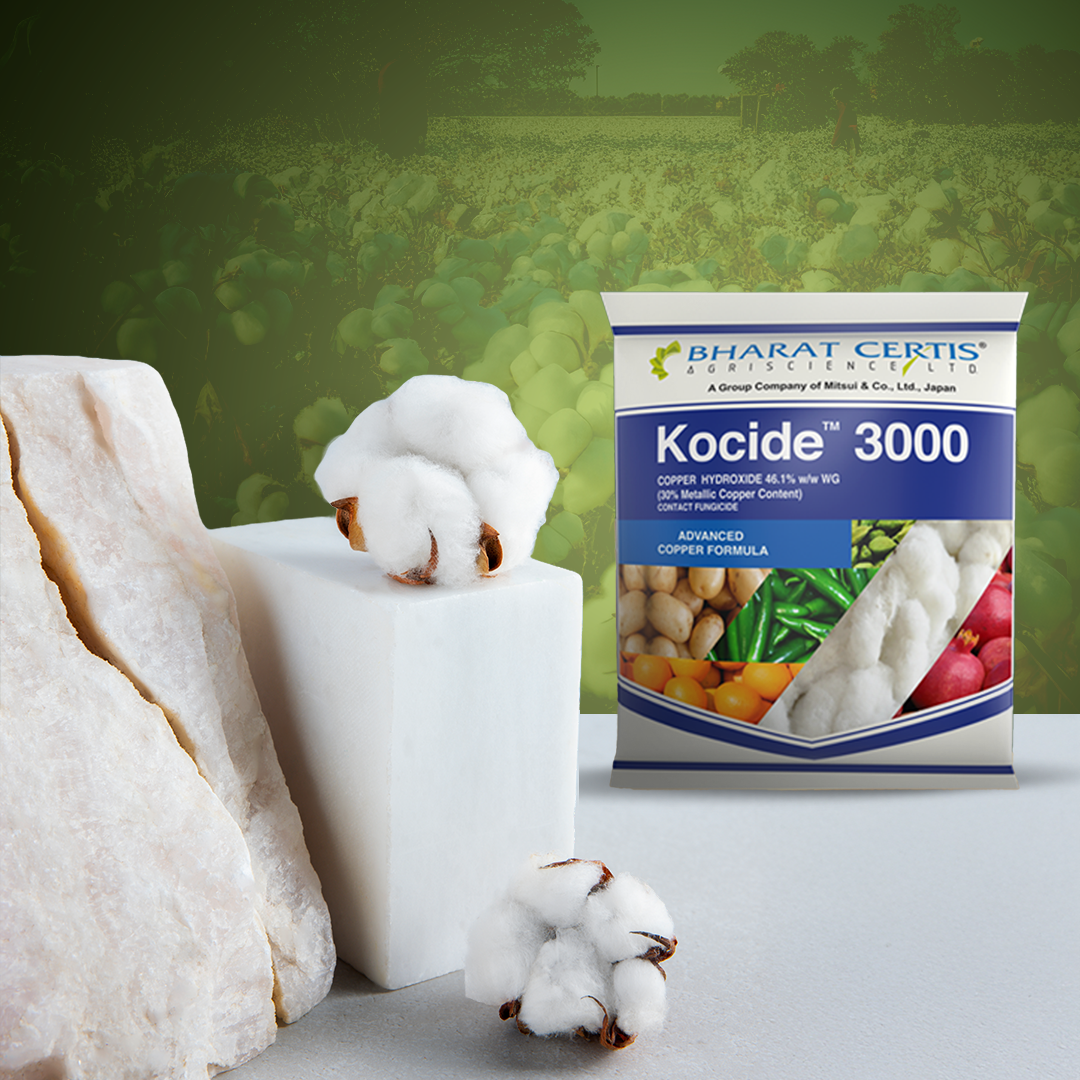 Safeguarding Cotton Crops with Kocide 3000